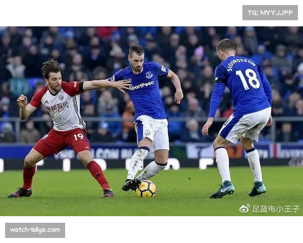 埃弗顿对阵切尔西传球成功率82% 反击效率远超控球数据 埃弗顿对阵切尔西传球成功率82% 反击效率远超控球数据