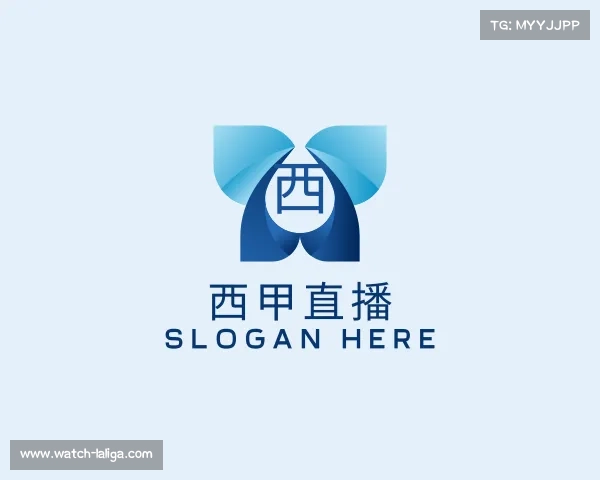 关于西甲直播
